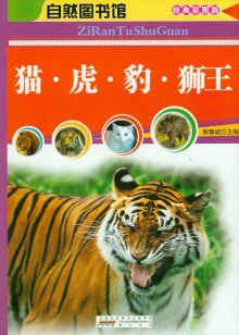 wj1369301233732.jpg_big.jpg