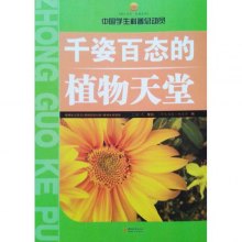 wj1371199349237.jpg_big.jpg