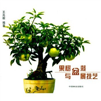 辰