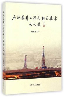 《石油钻井工程及相关技术论文集》,9787811