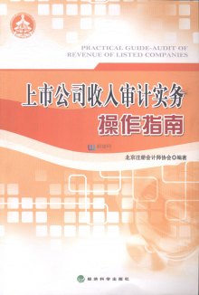 南京审计学院_审计公司收入