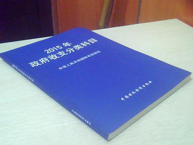 收入支出明细表模板_收入支出分类(3)