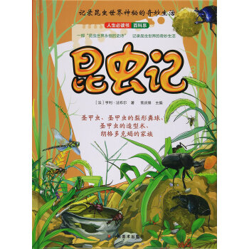 精装引进版绘本 纪录昆虫世界神秘的奇妙生活·昆虫记--圣甲虫,圣甲虫