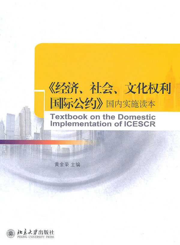 《经济,社会,文化权利国际公约》国内实施读本