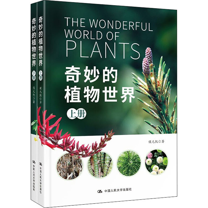 奇妙的植物世界(全2册)