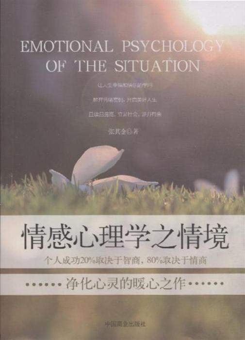 情感心理学之情境