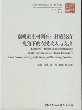 收入支出明细表模板_农民收入与支出(2)