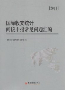 收入证明_国际收入自助申报(2)