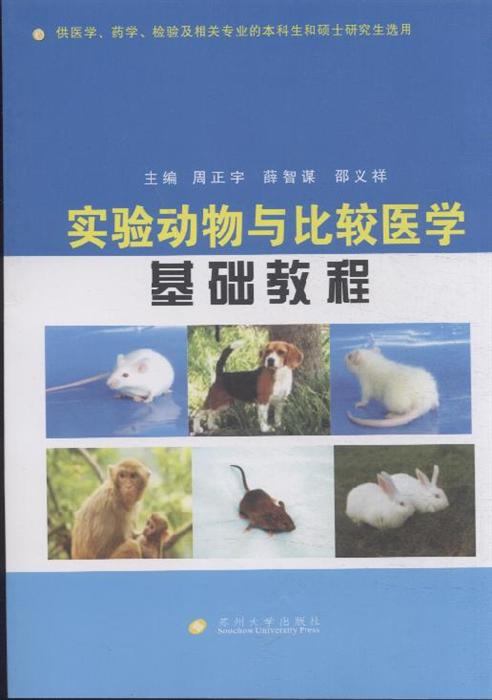 零基础学英语视频教程软件_软件测试基础视频教程_excel基础视频教程