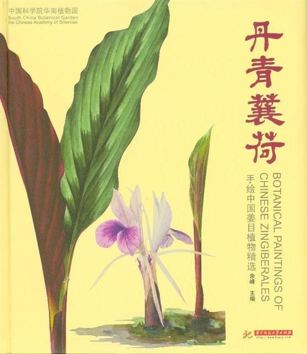 丹青蘘荷-手绘中国姜目植物精选